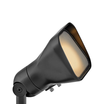 Accent Outdoor Flood Light in Satin Black.