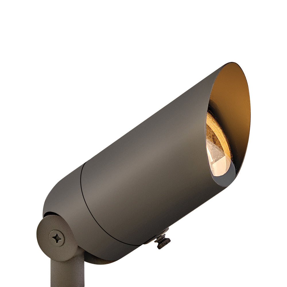 Accent Outdoor LED Spot Light in Bronze.