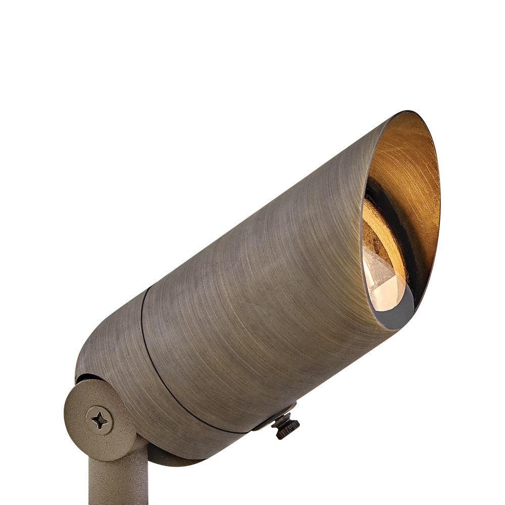 Accent Outdoor LED Spot Light in Matte Bronze.