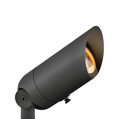 Accent Outdoor LED Spot Light in Satin Black.