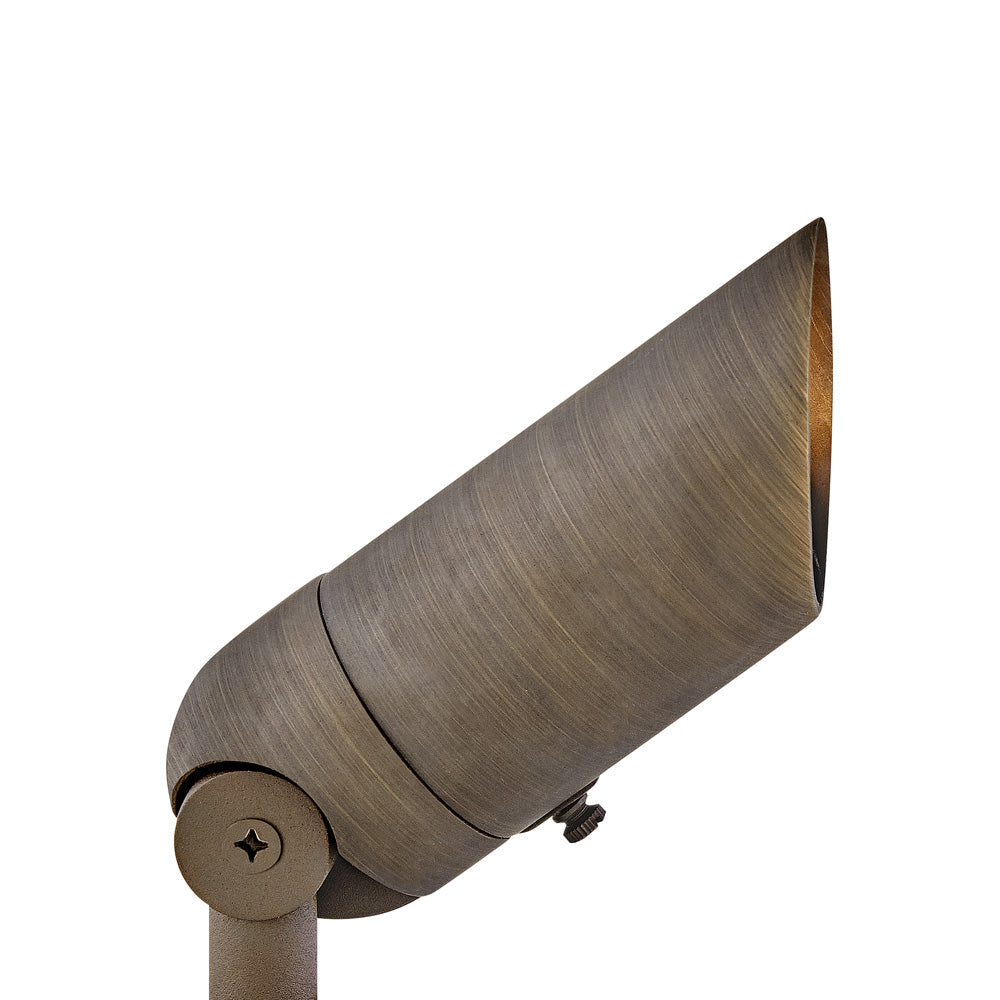 Accent Outdoor LED Spot Light in Detail.