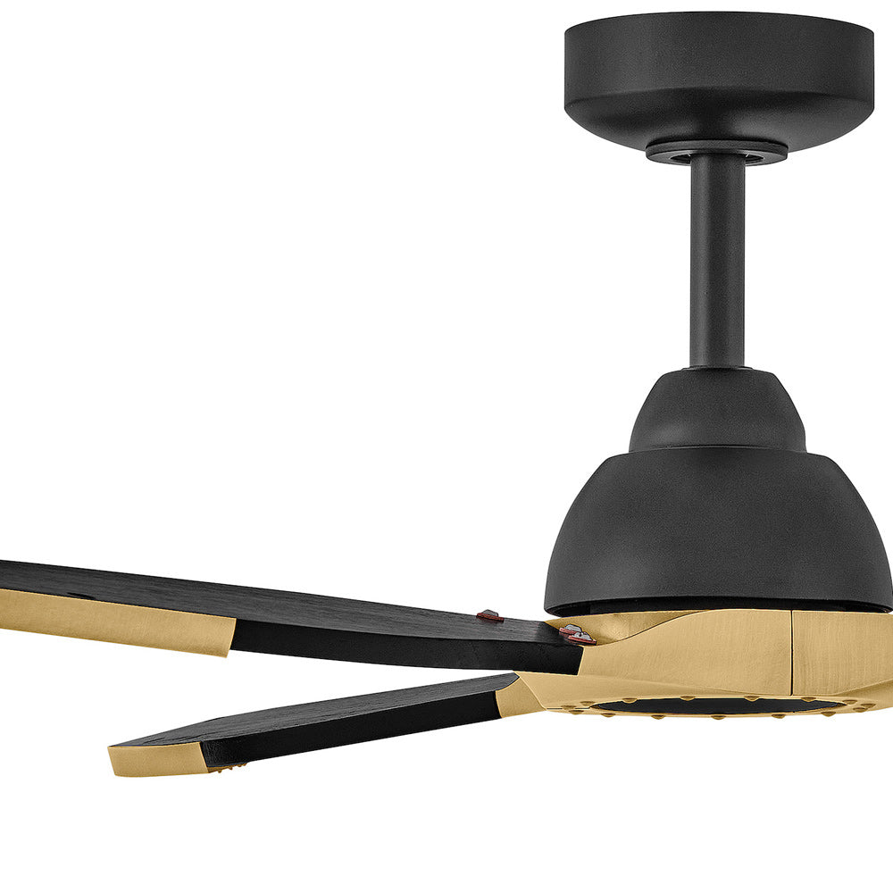 Aileron Smart Outdoor LED Ceiling Fan in Detail.