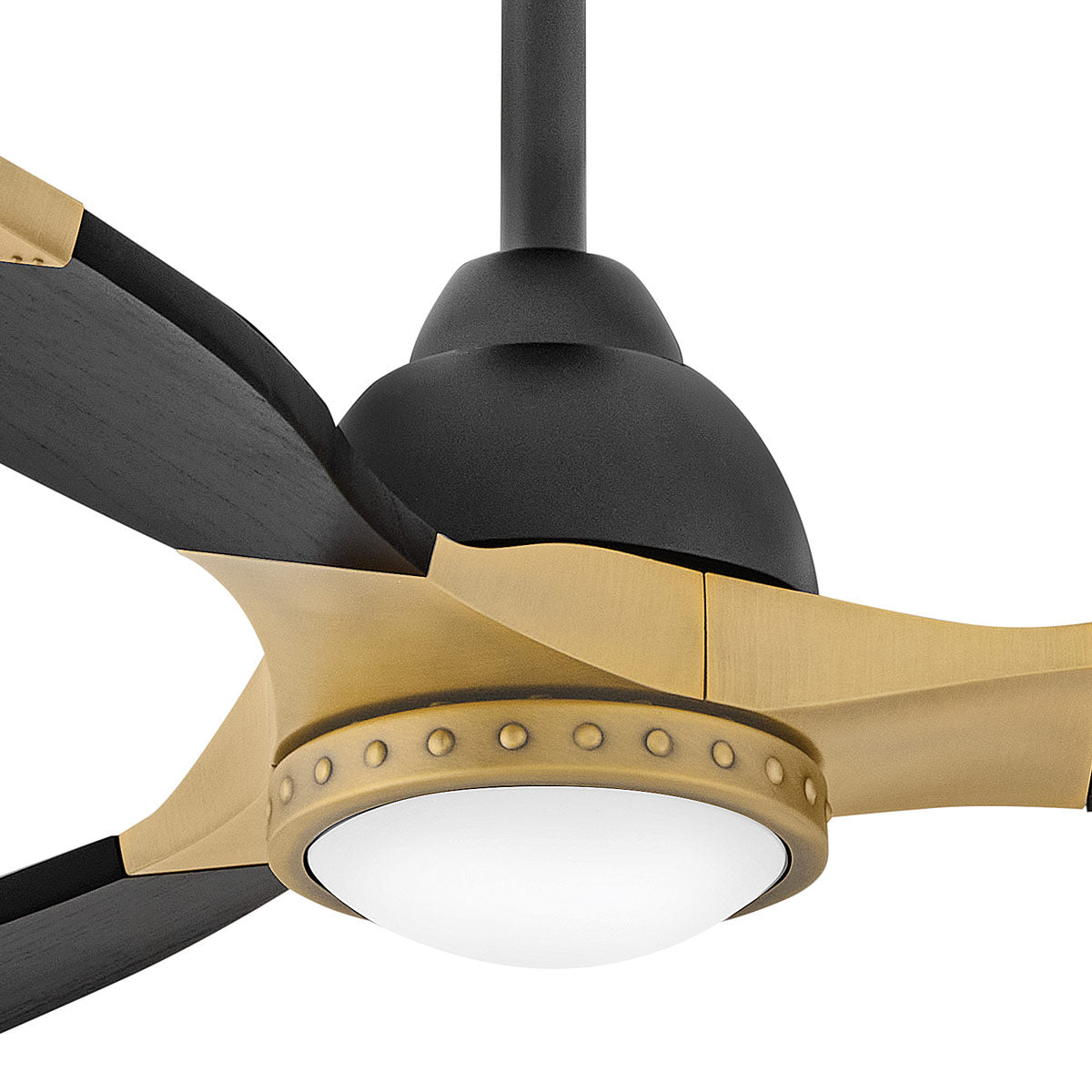 Aileron Smart Outdoor LED Ceiling Fan in Detail.
