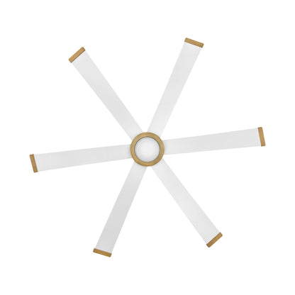 Andros LED Ceiling Fan in Detail.