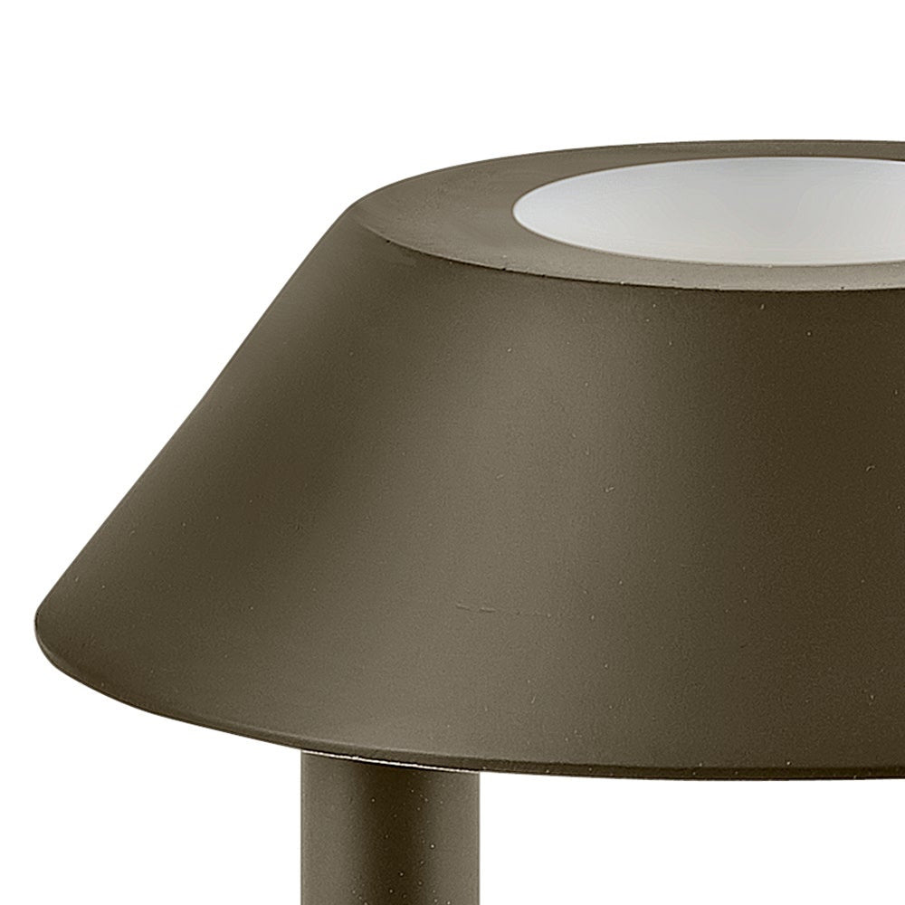 Aura Outdoor LED Path Light in Detail.