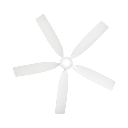 Bodin Smart LED Ceiling Fan in Detail.