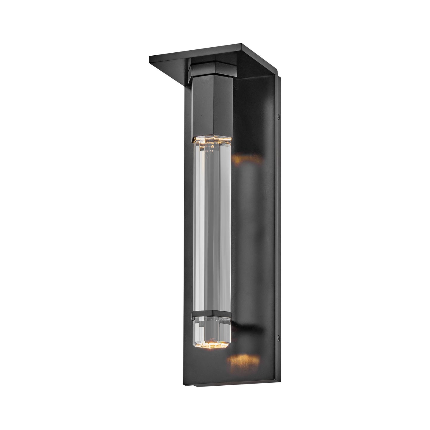 Cecily Outdoor LED Wall Light in Black.