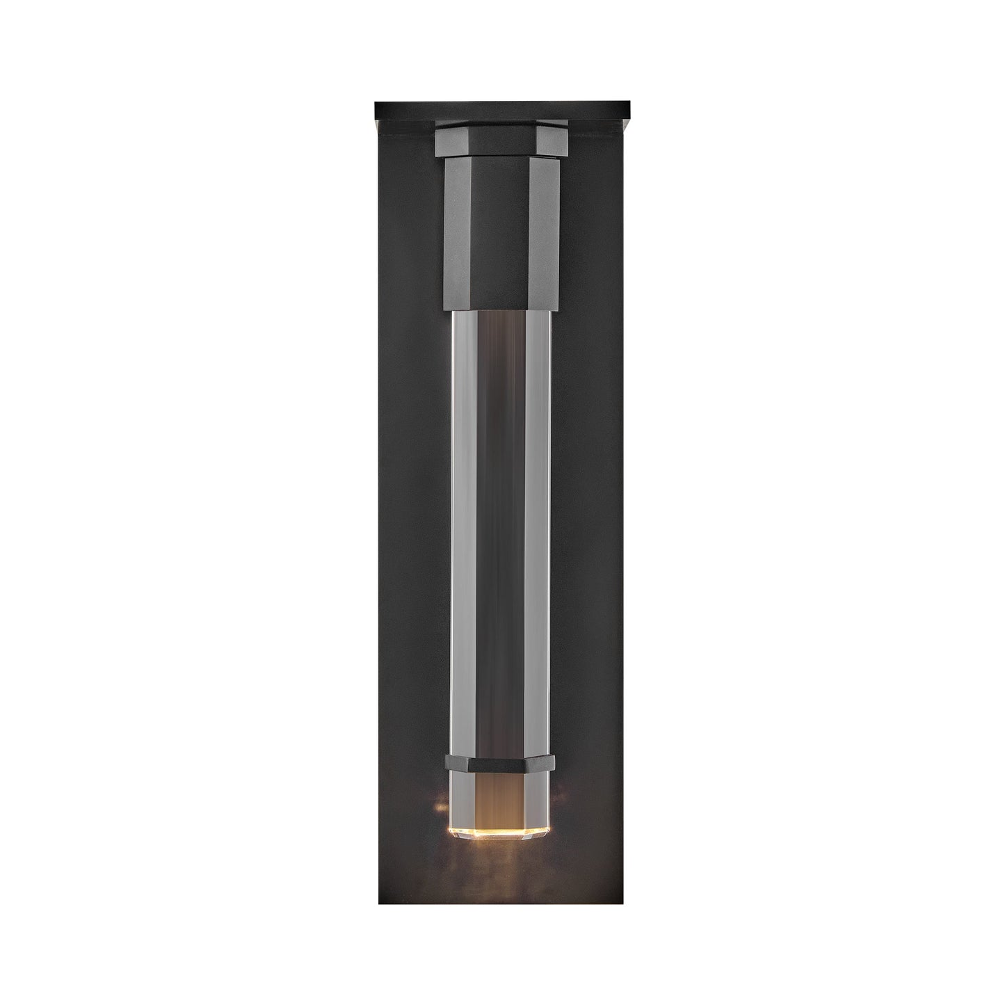 Cecily Outdoor LED Wall Light in Detail.