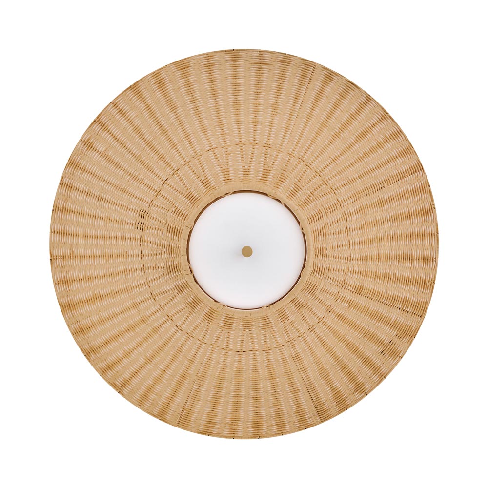Delia Semi Flush Convertible Pendant Light in Detail.