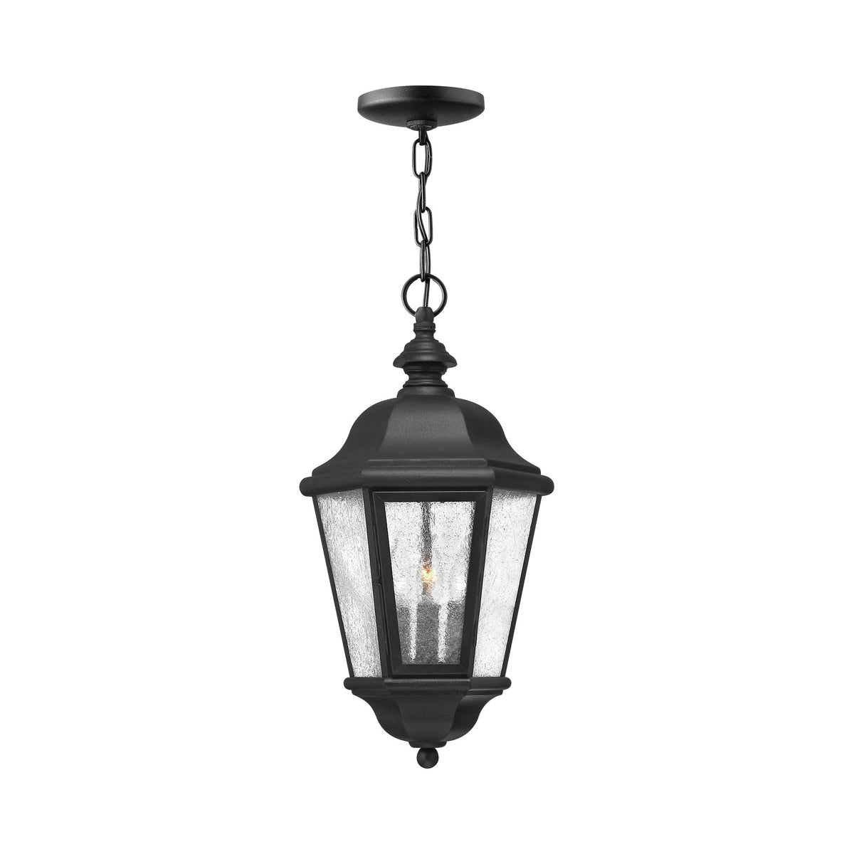 Edgewater Outdoor Pendant Light in Black (Bulb Included).