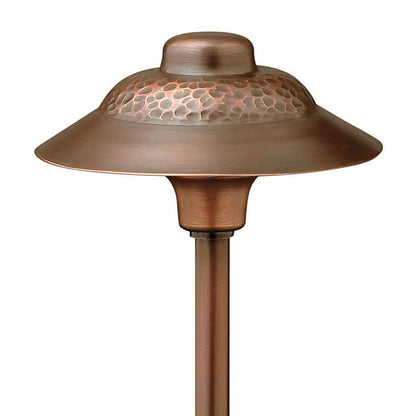 Essence Outdoor Path Light in Detail.