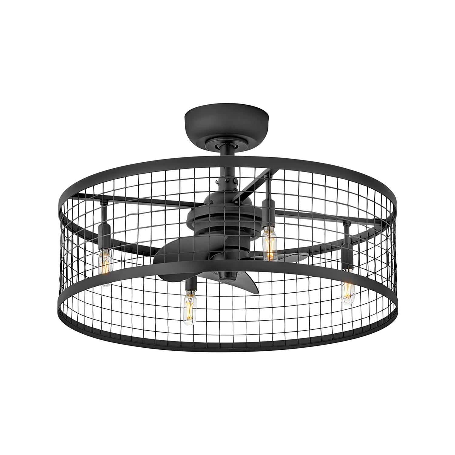 Finnigan Fandelier (24-Inch) .