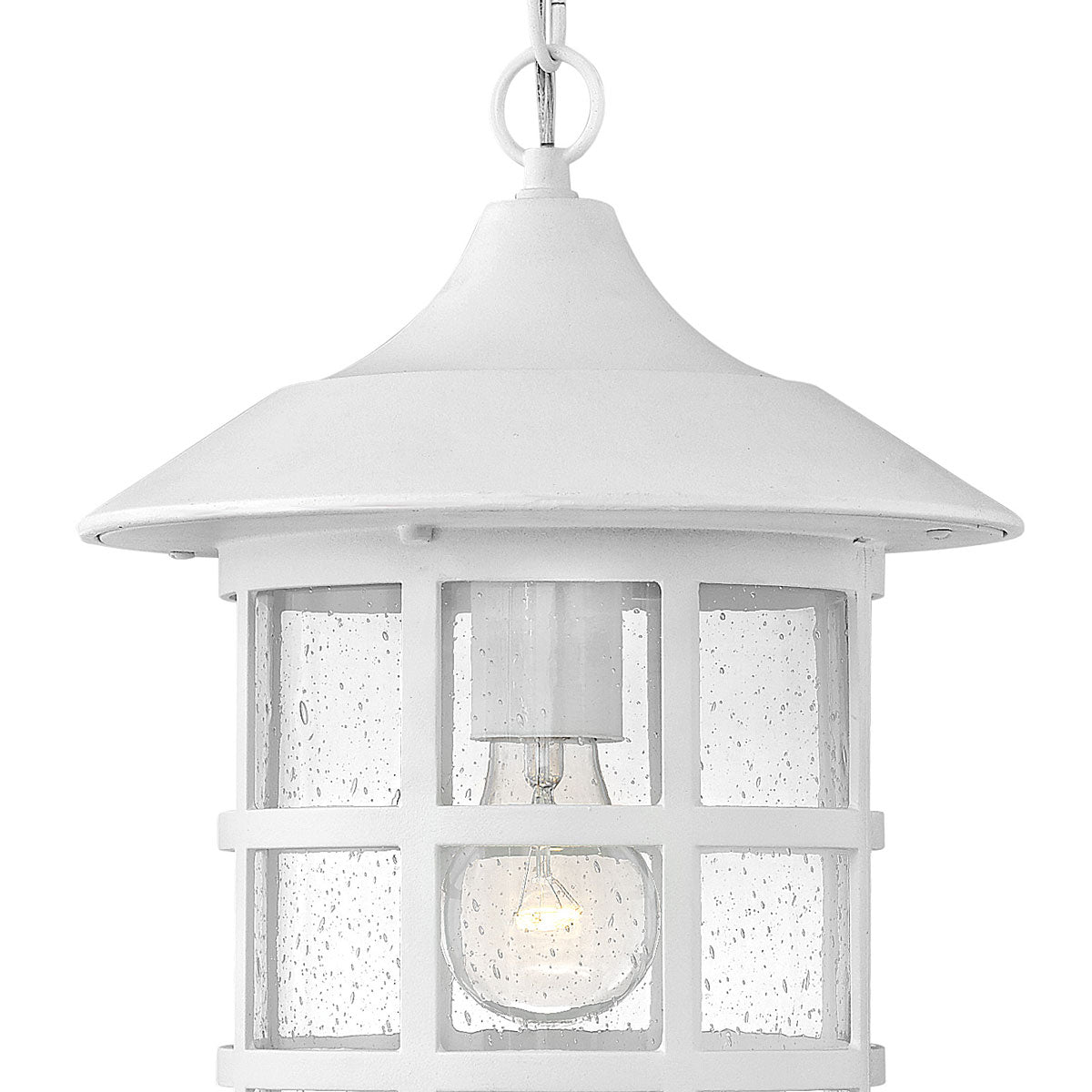 Freeport Outdoor Pendant Light in Detail.