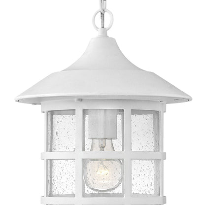 Freeport Outdoor Pendant Light in Detail.
