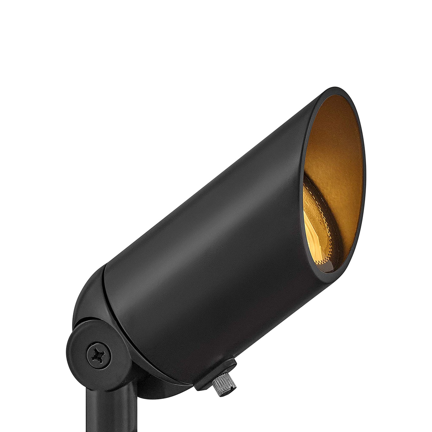 Hardy Island 4W MR16 LED Spot Light in Brass Satin Black.