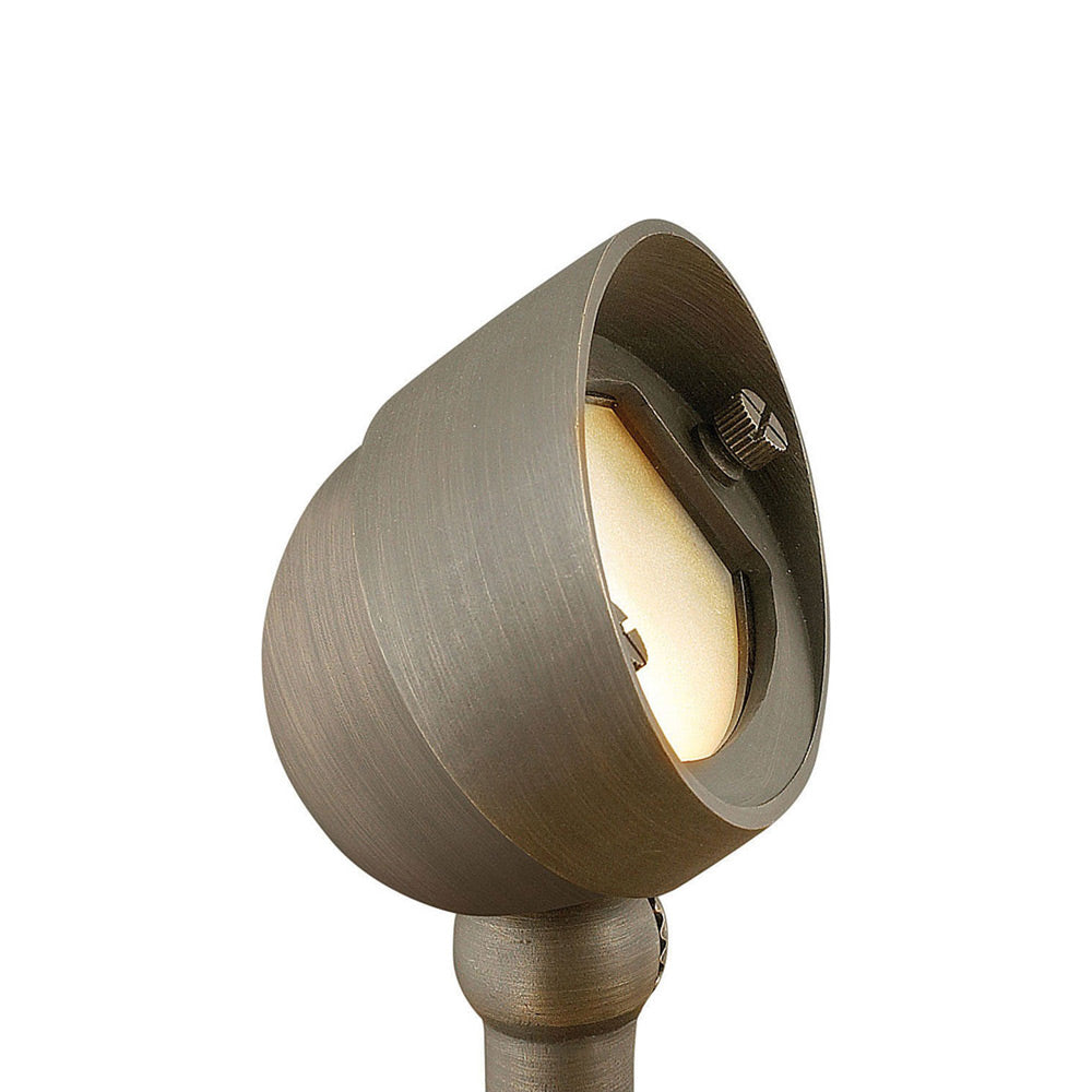Hardy Island LED Wall Flood Light in Matte Bronze.