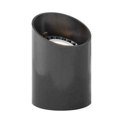 Hardy Island Par36 Outdoor Well Light in Reversible.