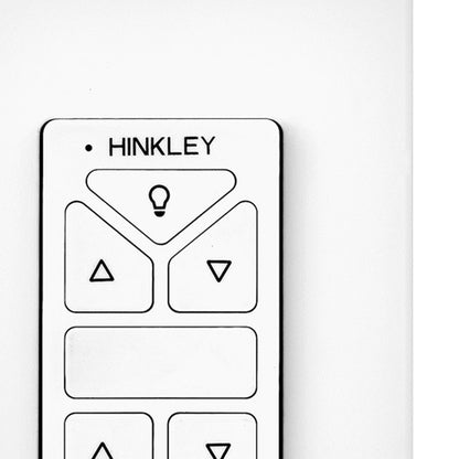 Indy Wifi Hiro Control in Detail.