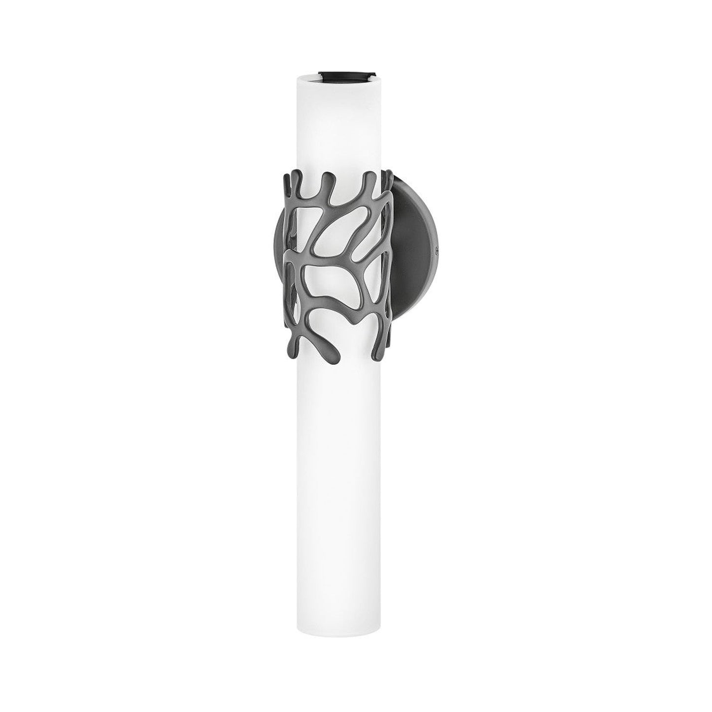 Lyra LED Bath Wall Light in Detail.