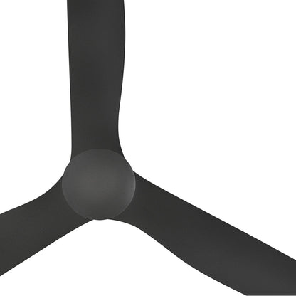 Oris Smart Outdoor LED Ceiling Fan in Detail.