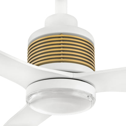 Oris Smart Outdoor LED Ceiling Fan in Detail.