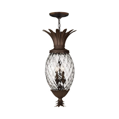 Plantation Outdoor Pendant Light.