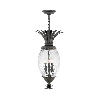 Plantation Outdoor Pendant Light in Museum Black.
