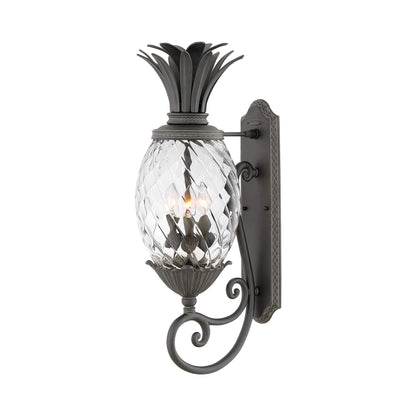 Plantation Outdoor Wall Light in Museum Black (28-Inch).