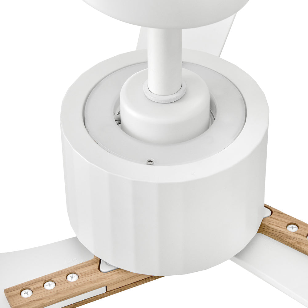 Rafter Smart LED Ceiling Fan in Detail.