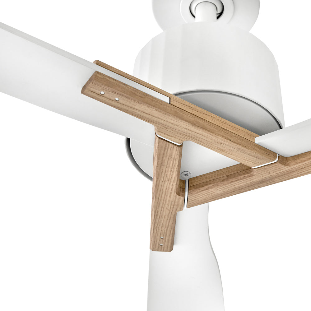 Rafter Smart LED Ceiling Fan in Detail.