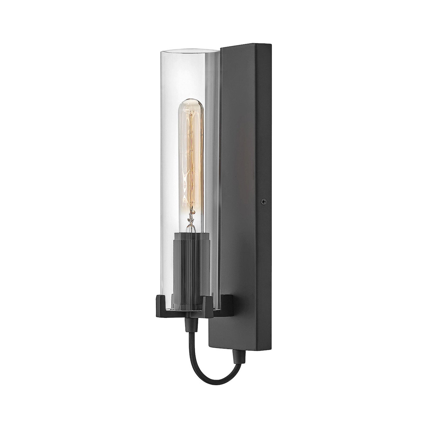 Ryden Single Wall Light in Black (Clear).
