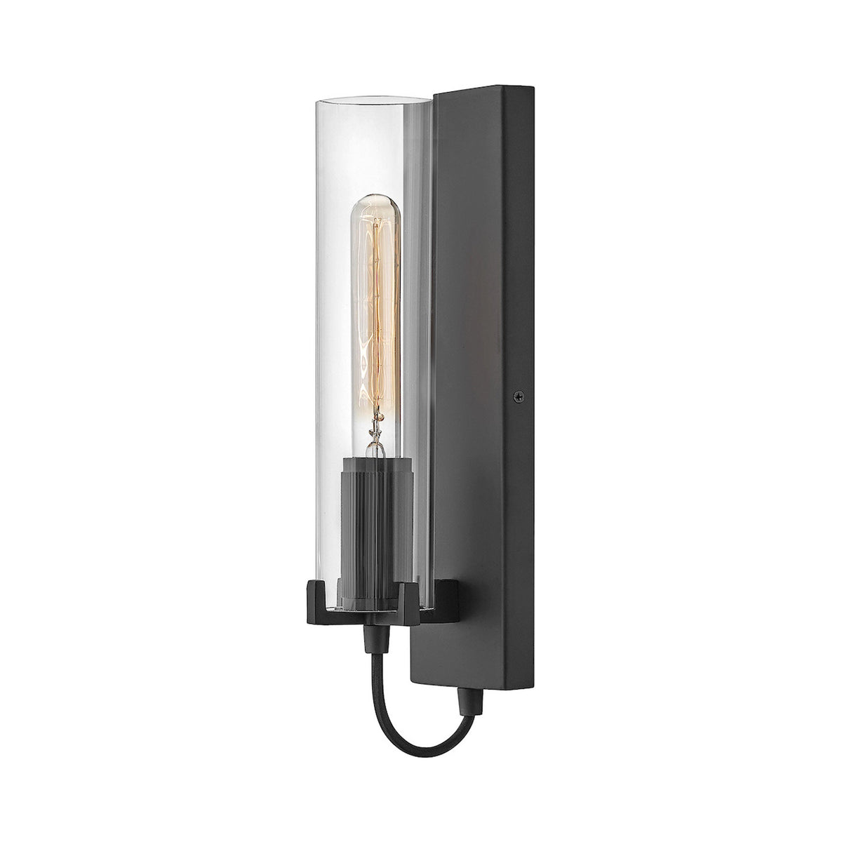 Ryden Single Wall Light in Black (Clear).
