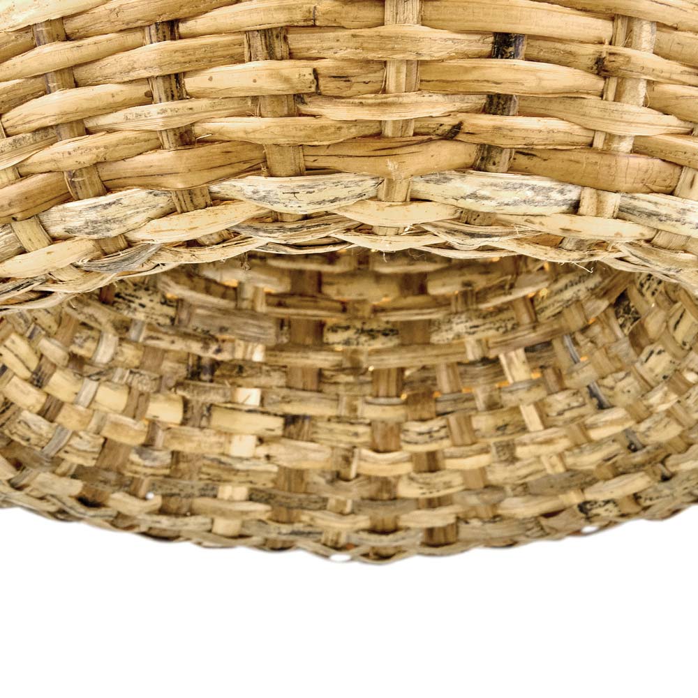Sanibel Semi Flush Convertible Pendant Light in Detail.