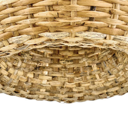 Sanibel Semi Flush Convertible Pendant Light in Detail.