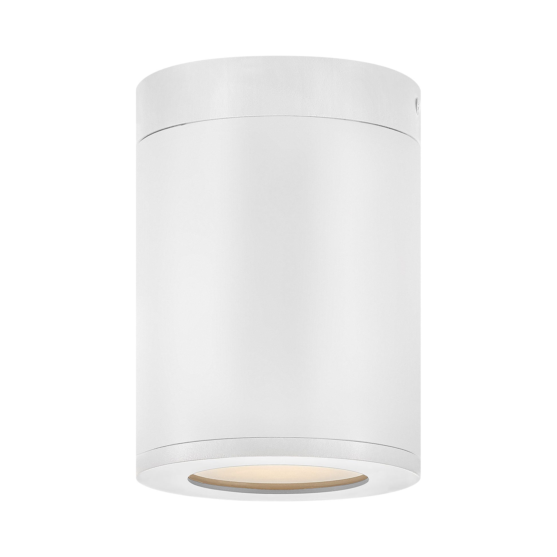 Silo Outdoor Flush Mount Ceiling Light.