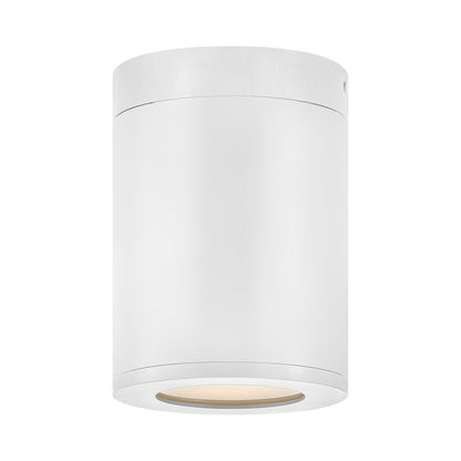 Silo Outdoor Flush Mount Ceiling Light.