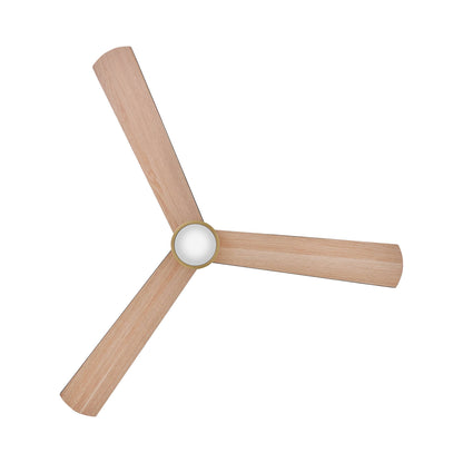 Speck Smart LED Flush Mount Ceiling Fan in Detail.