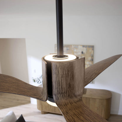 Sven Smart LED Ceiling Fan in Detail.