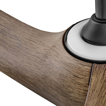 Tiburon LED Smart Ceiling Fan in Detail.