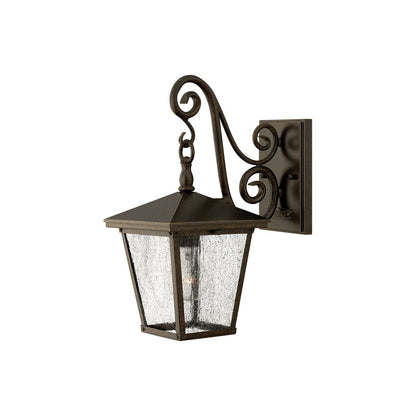Trellis Outdoor Wall Light (15.25-Inch).