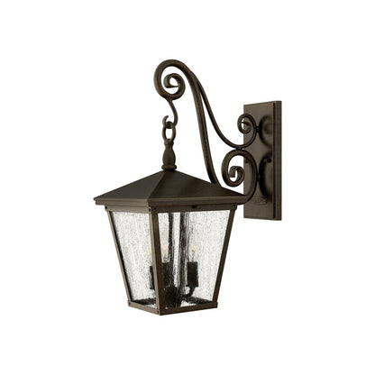 Trellis Outdoor Wall Light (19.75-Inch).