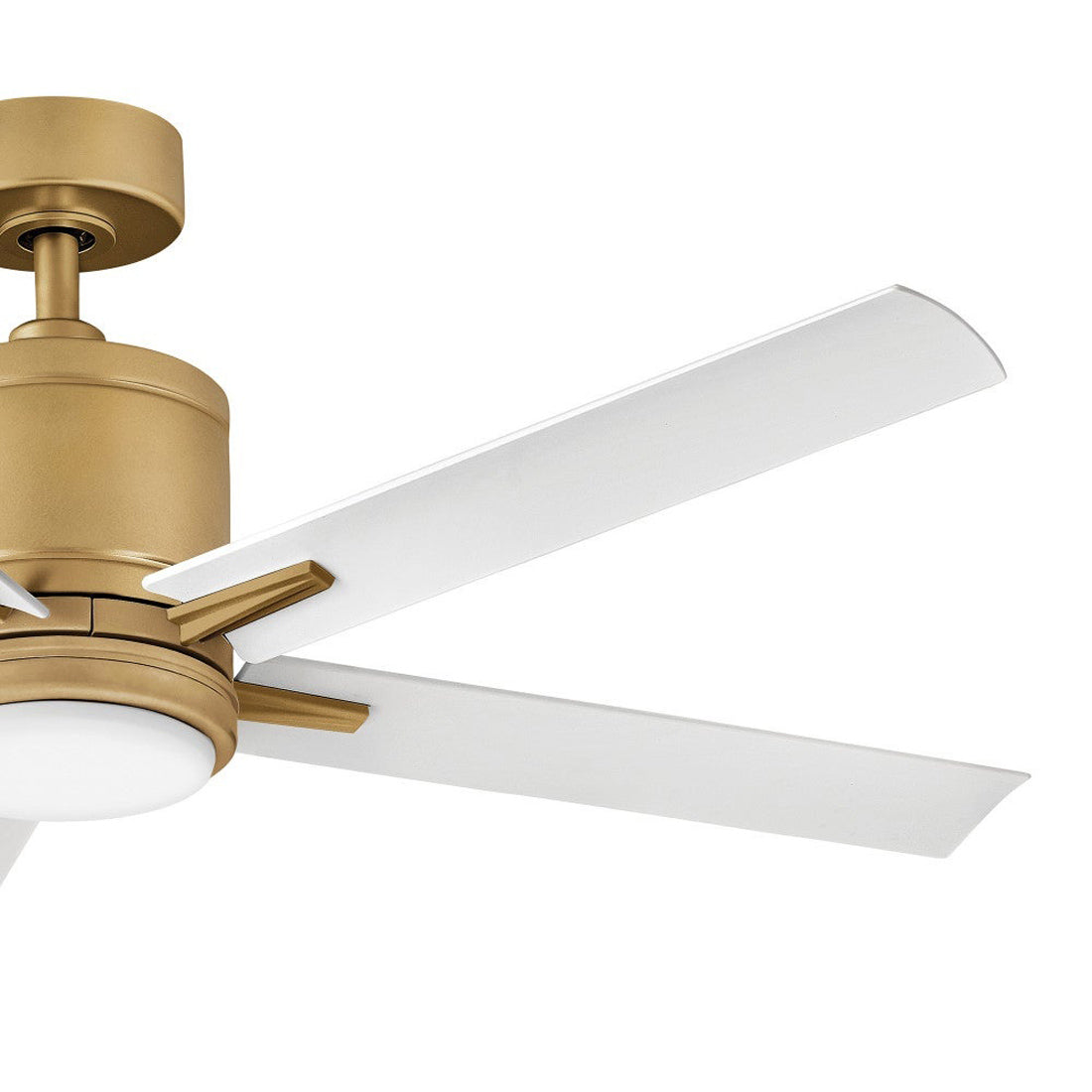 Vail Outdoor LED Smart Ceiling Fan in Detail.