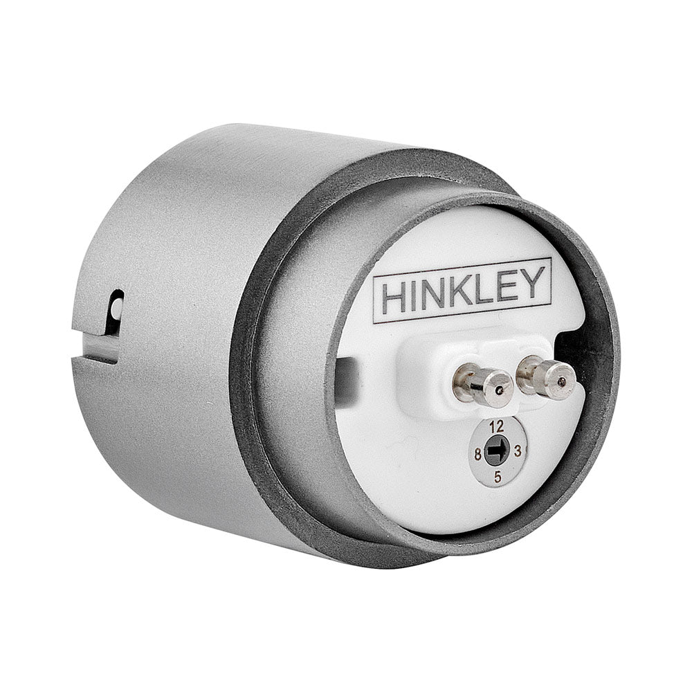 Variable Output Lumacore LED Engine Bulb (1-Inch).