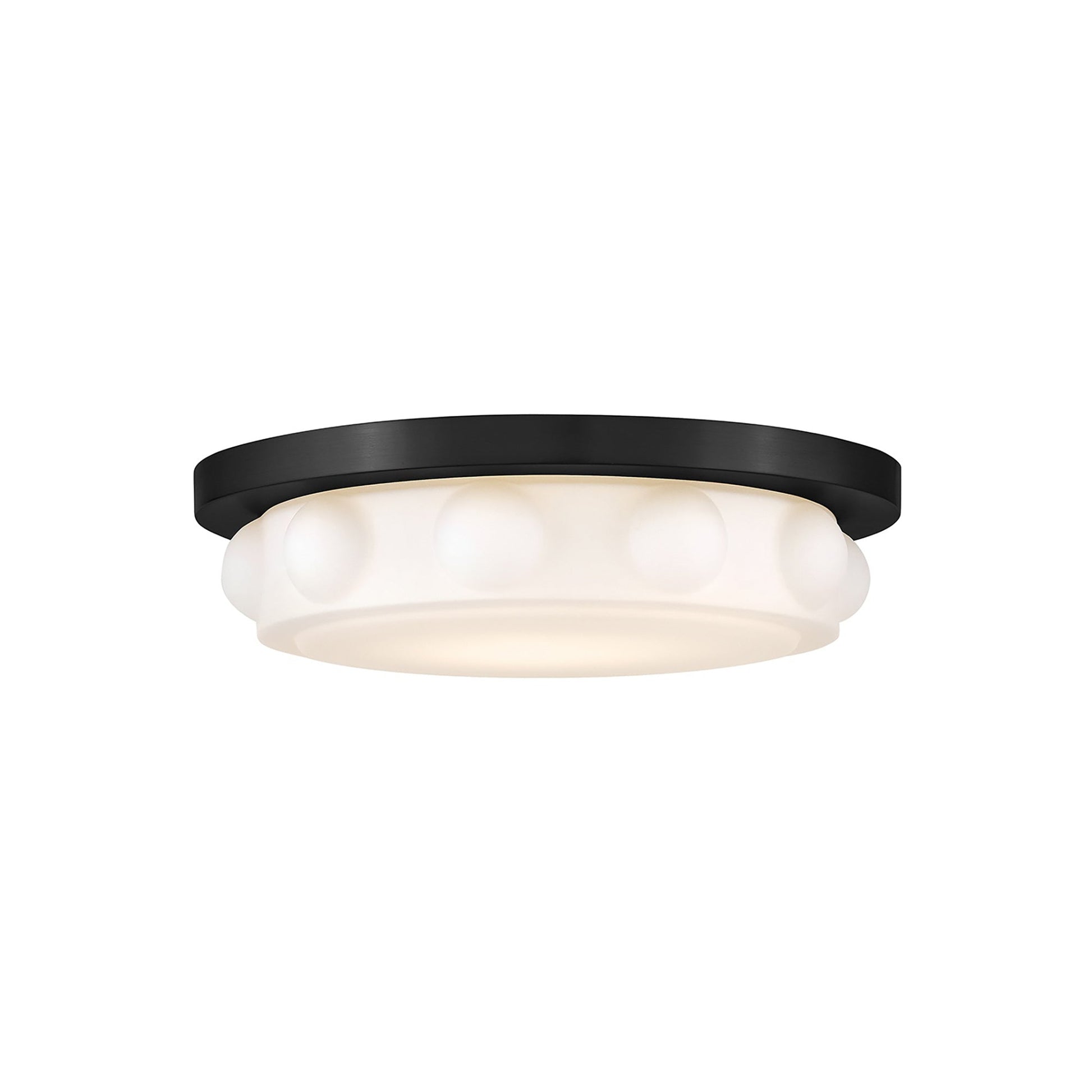 Zoey LED Flush Mount Ceiling Light in Black (14-Inch).
