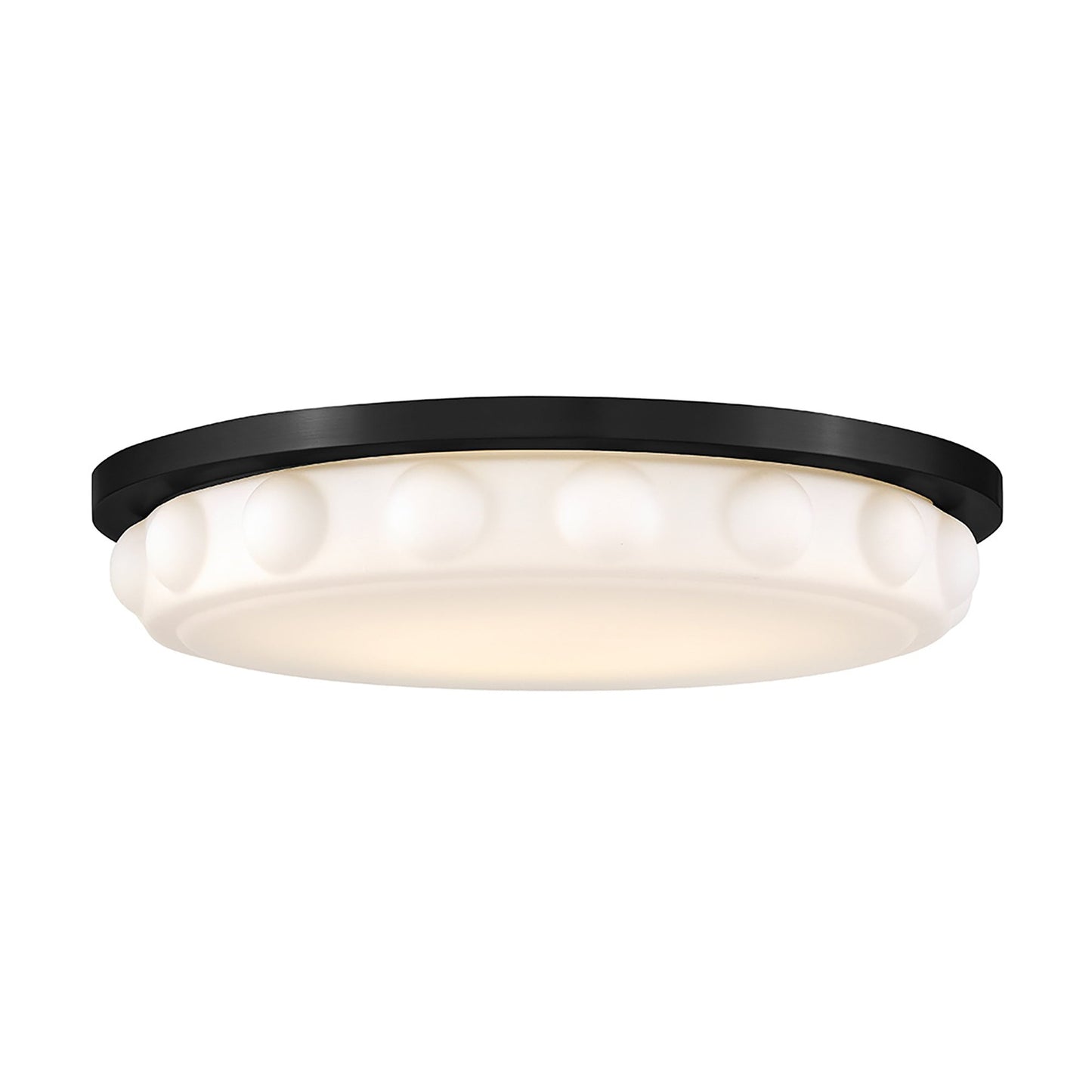 Zoey LED Flush Mount Ceiling Light in Black (20-Inch).