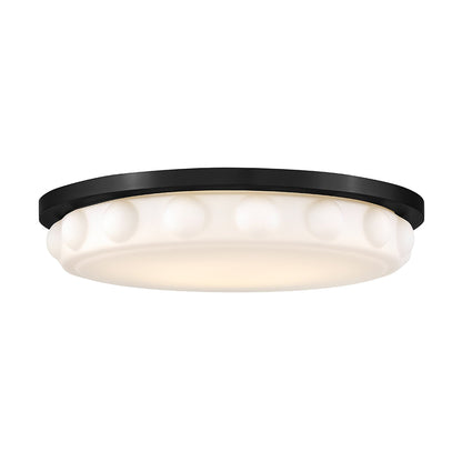 Zoey LED Flush Mount Ceiling Light in Black (20-Inch).
