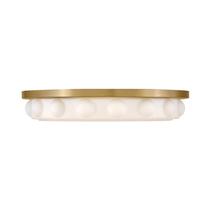 Zoey LED Flush Mount Ceiling Light in Detail.