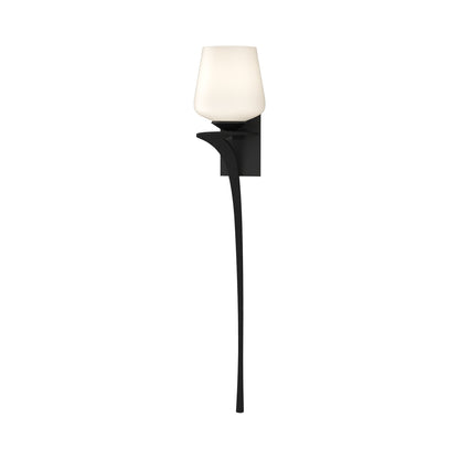 Antasia Wall Light in Black (Left/Single Glass).