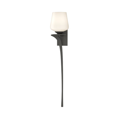 Antasia Wall Light in Natural Iron (Left/Single Glass).