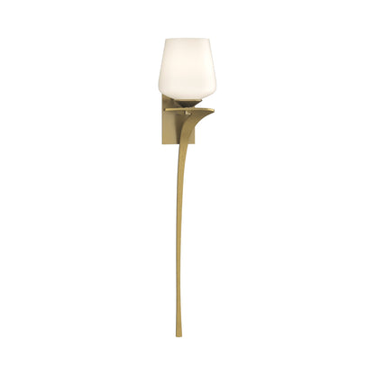 Antasia Wall Light in Modern Brass (Right/Single Glass).
